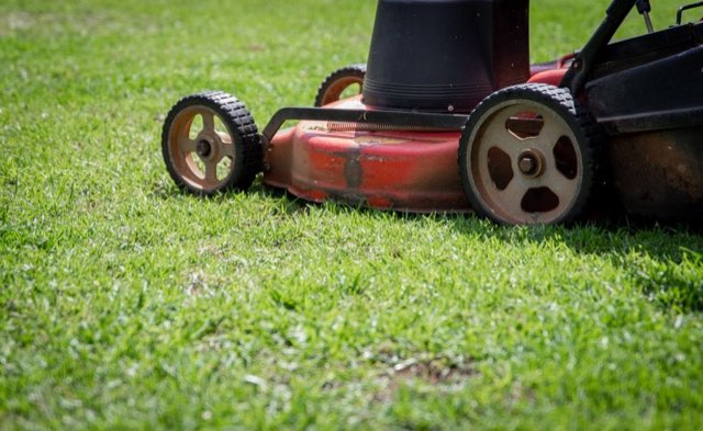 Red push mower cutting a green lawn, seen from a low angle