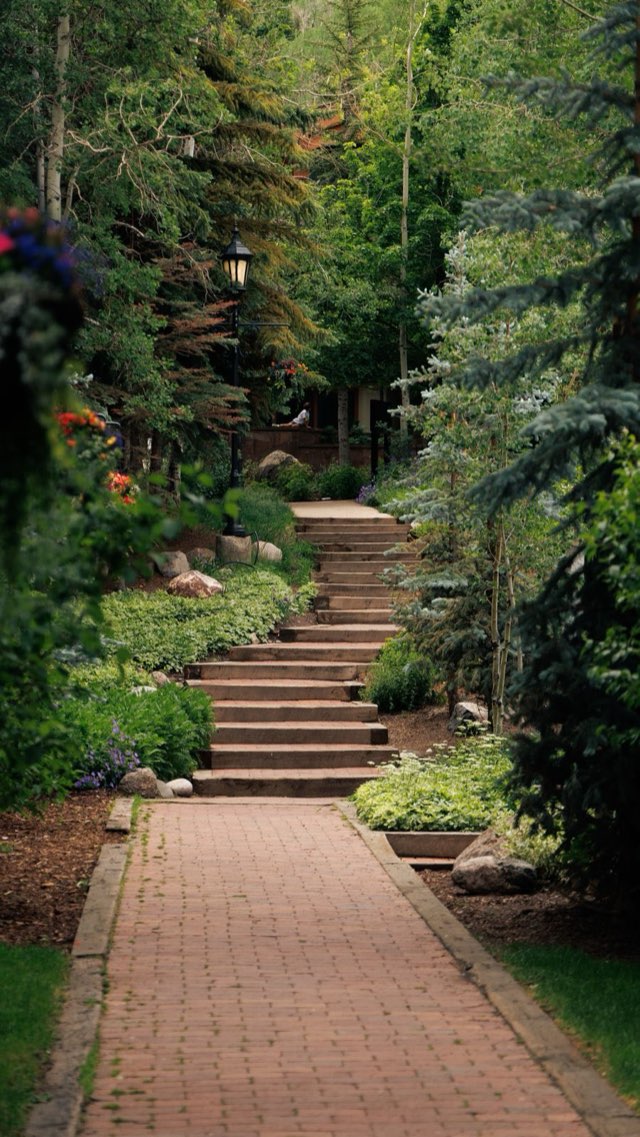 Timber and gravel garden steps winding through lush planting